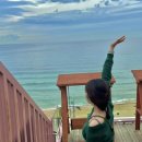 이래욱농장 | 가을바다 기록