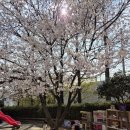 새장유어린이집 이미지