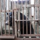 웅담2농장 이미지