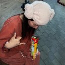 숲속세신 | 서울 홍대 대형찜질방 추천 숯가마 데이트 가볼만한곳 숲속한방랜드 세신 가격