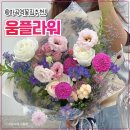 크리시움타워1 | 마곡역꽃집 추천 움플라워 엄마 생신 선물 주문한 후기!
