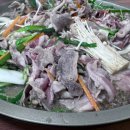 오리궁뎅이 첨단점 이미지