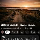 바람에 훅 날려보낸다 이미지
