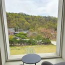 갓바위미술관 | [대구근교 갓바위카페] 애견동반 가능한 넓은 정원이 있는 카페 하말