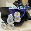 아이피오레 | 전주 꽃집 델피오레 플라워 꽃다발 예약, 당일 픽업후기