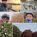 남천이발관 Daum카페