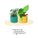 작은나무 이미지