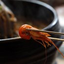 [완주 맛집] 전국 방방곡곡에서 발품 팔아 찾는 맛집! 맛본 이들이 추천하는 또 하나의 맛! - 강나루횟집 이미지