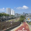 사이버리아 | [~9/22] 올만의 주간압축일기 대령이요