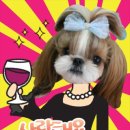 더와이공방 이미지