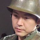 참치정육도로