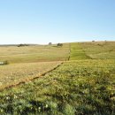 영신농장 이미지