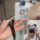 아모스 프로베이직 딥클린 샴푸 지성두피를 위한 딥클렌징 보습 케어 세정력 좋은 정착템