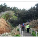 삽시도둘레길 이미지