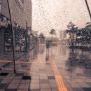 늘푸른 행정사 사무소 이미지