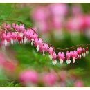 복.시골집 이미지