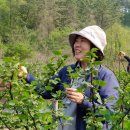 쌍치 농장 이미지