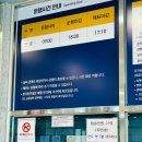 삼척여행코스 삼척 해상 케이블카 용화역에서 장호역 왕복케이블카후기 삼척케이블카 장호역 카페 야외...