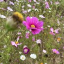 봉국당한의원 이미지