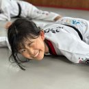 경희대 에이스 태권도 이미지