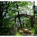 태학산자연휴양림 잔디광장 이미지