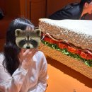 여정; 상상과 현실의 경계 | 그라운드시소 이스트 전시[룸 포 원더:상상의 문을 열다] 광진구 체험전시관아트 위치 예매 관람후기 까지!