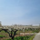 왕지4길 이미지