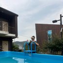 주1동 | 거제도 1박2일 가족여행 바람의 언덕, 매미성,몽돌해수욕장, 애견 숙소, 맛집 식당 리뷰 #거제야호...