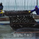 해조수산 이미지