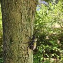 기장노인의료센터 | 기장노인의료복지센터 옥상방수시공현장