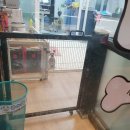 루이펫샵 이미지