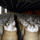 햇살영농조합법인 이미지