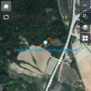 곰솔부동산공인중개사사무소 이미지