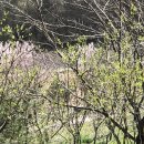 신궁마을회관 이미지