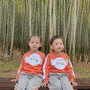 숲중앙어린이집 | 92. 생후 161주차 : 부산시민공원, 기장 아홉산숲 소풍