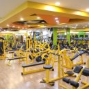 스타칼리 휘트니스 이미지