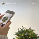 플레르드베베