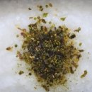 죽토피아 이미지