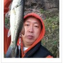 부엉덤이 이미지