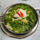 [맛집후기] 나주 구도심 존맛 가보리복탕 (복지리/복탕/수제비/내돈내산/자주가던맛집)
