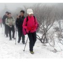 한라산