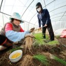 태안마트(주) 이미지