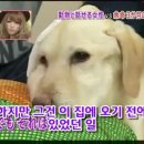 하이디 - 경산시 원효로32길 11 | 하이디