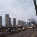 송도센트럴정신건강의학과의원 | 이직 앞두고 받은 송도건강검진, 노안까지 진단받았네요