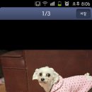 아랑조을거리 이미지