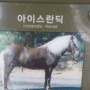 마당목장 이미지