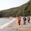 진도