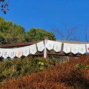 ㈜해든 | ㈜해든숲이 선사하는 보문산 행복 소풍- 녹색자금 숲치유·헬스케어 프로그램 &lt;보문산 힐링투어 숲...