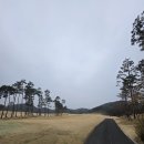 프리마스크린골프(417) | 대구 근교 골프장 영천 오펠 CC 라운딩