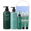 지성헤어크리닉 이미지